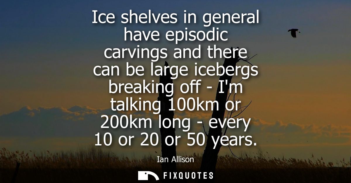 Ice shelves in general have episodic carvings and there can be large icebergs breaking off - Im talking 100km or 200km l