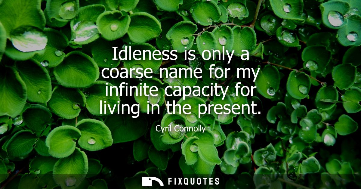 Idleness is only a coarse name for my infinite capacity for living in the present