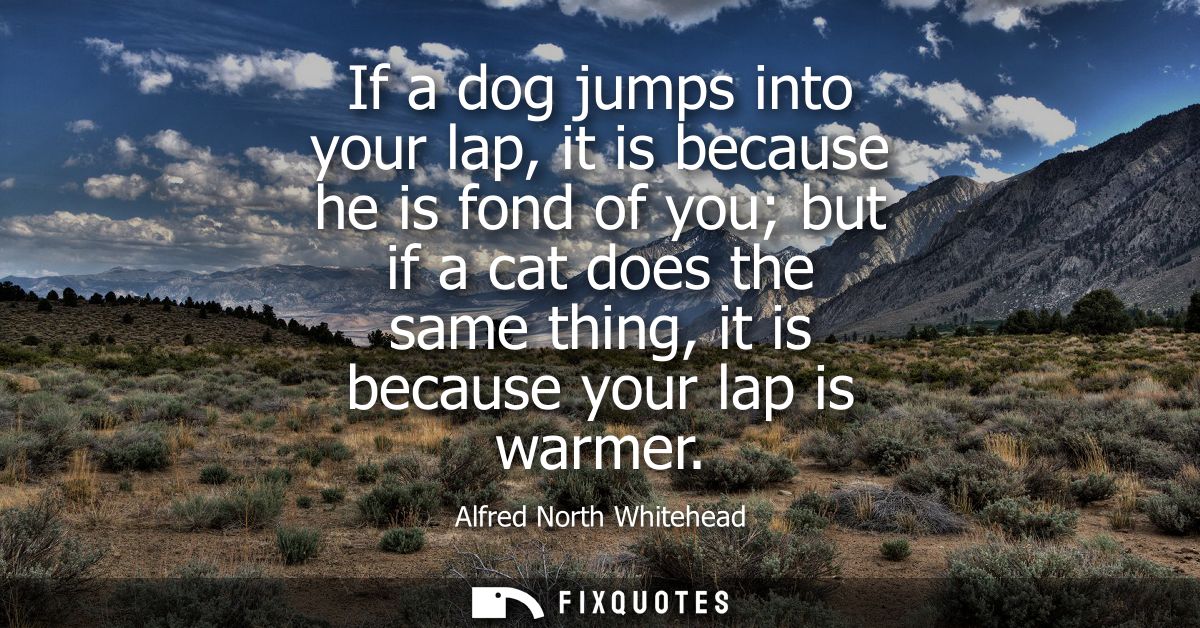 If a dog jumps into your lap, it is because he is fond of you but if a cat does the same thing, it is because your lap i