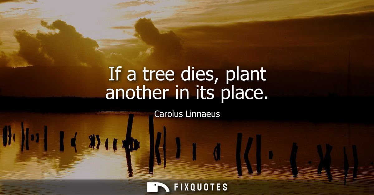 If a tree dies, plant another in its place