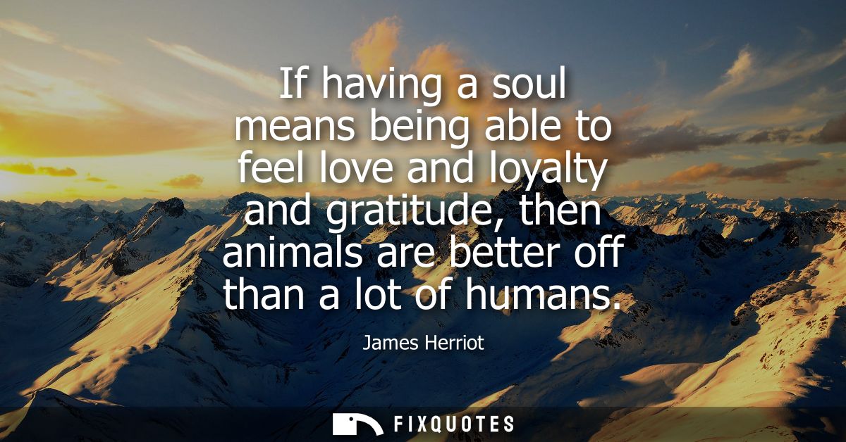 If having a soul means being able to feel love and loyalty and gratitude, then animals are better off than a lot of huma