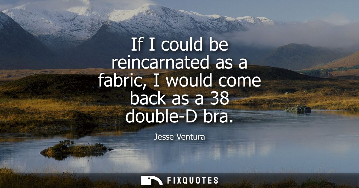 If I could be reincarnated as a fabric, I would come back as a 38 double-D bra