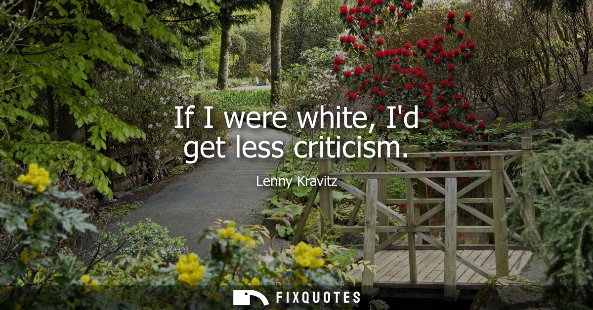 If I were white, Id get less criticism - Lenny Kravitz
