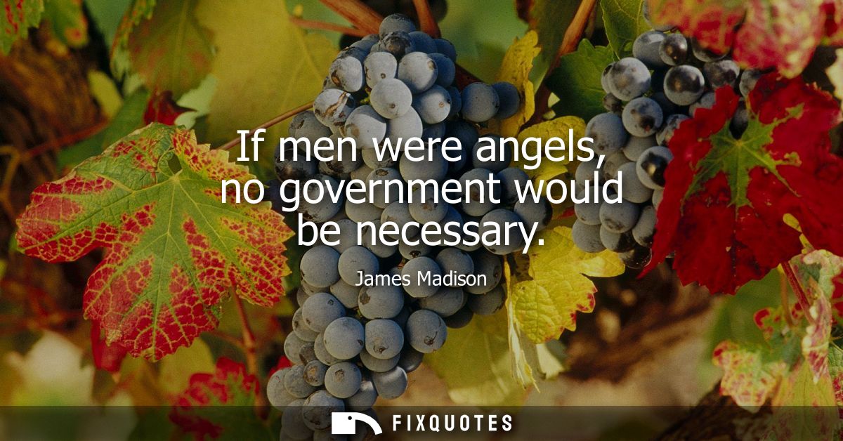 If men were angels, no government would be necessary