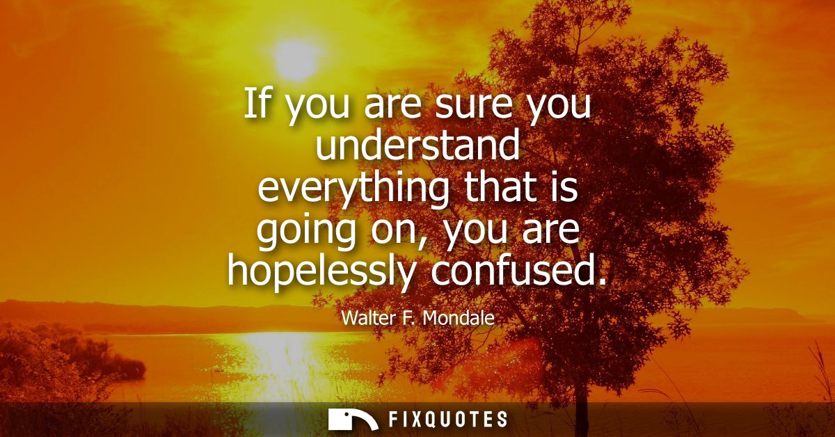 If you are sure you understand everything that is going on, you are hopelessly confused