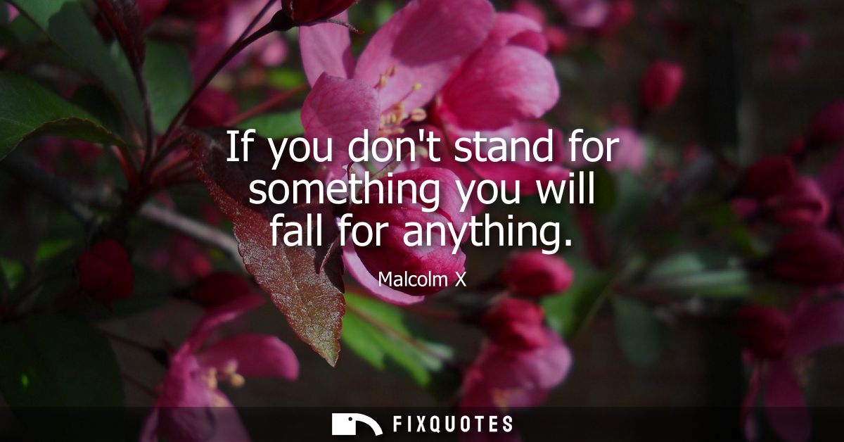 If you dont stand for something you will fall for anything