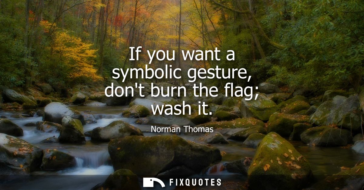 If you want a symbolic gesture, dont burn the flag wash it