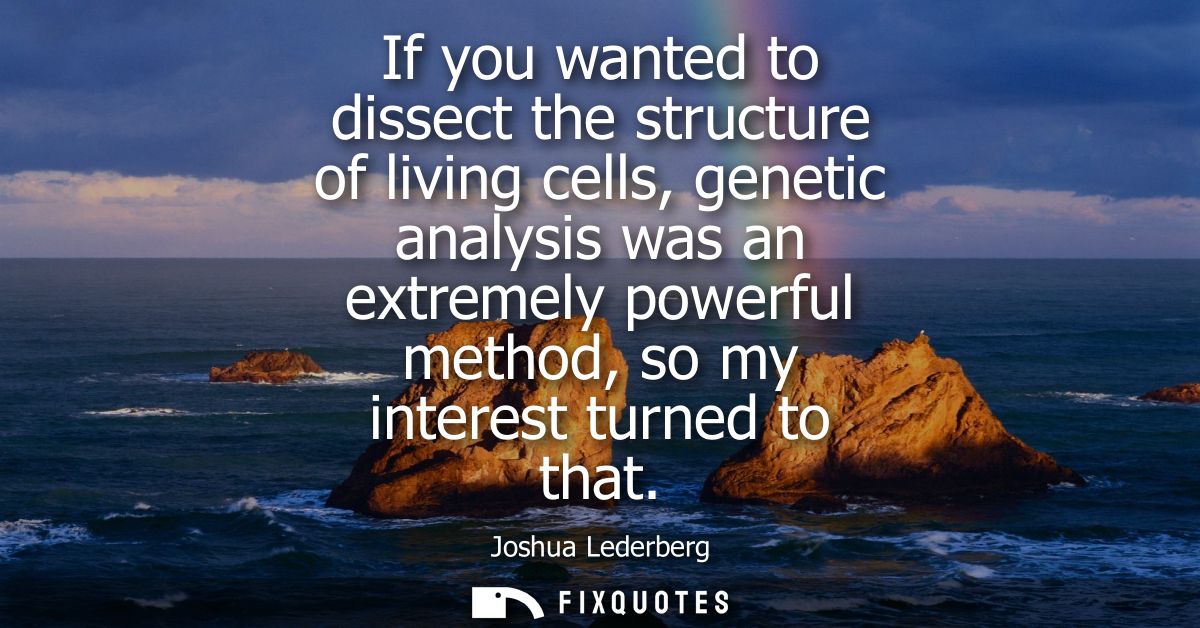 If you wanted to dissect the structure of living cells, genetic analysis was an extremely powerful method, so my interes