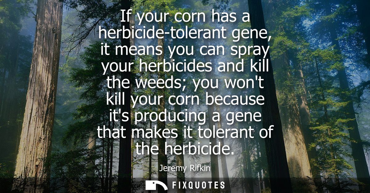 If your corn has a herbicide-tolerant gene, it means you can spray your herbicides and kill the weeds you wont kill your