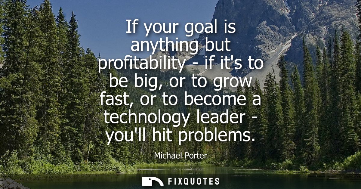 If your goal is anything but profitability - if its to be big, or to grow fast, or to become a technology leader - youll