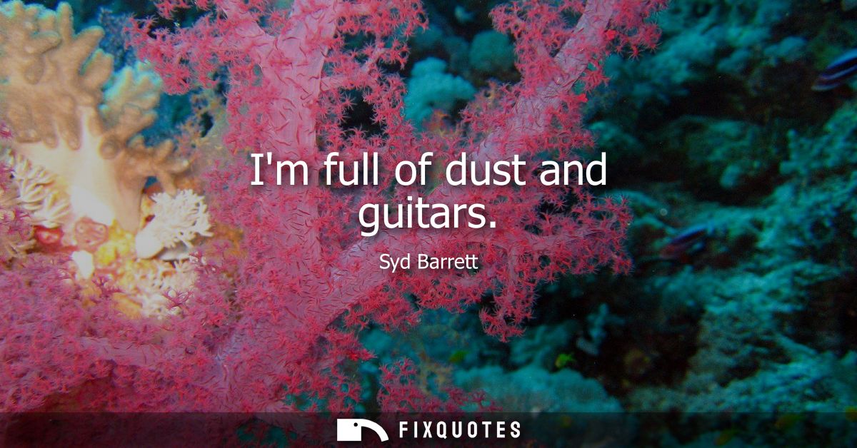 Im full of dust and guitars