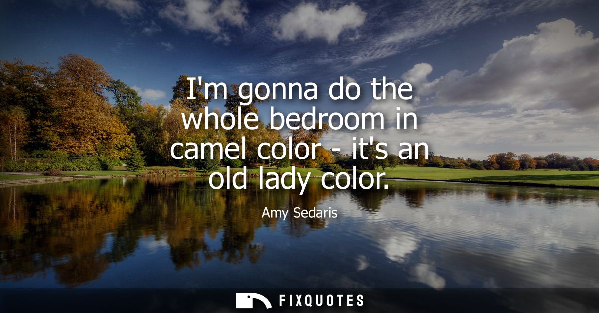 Im gonna do the whole bedroom in camel color - its an old lady color