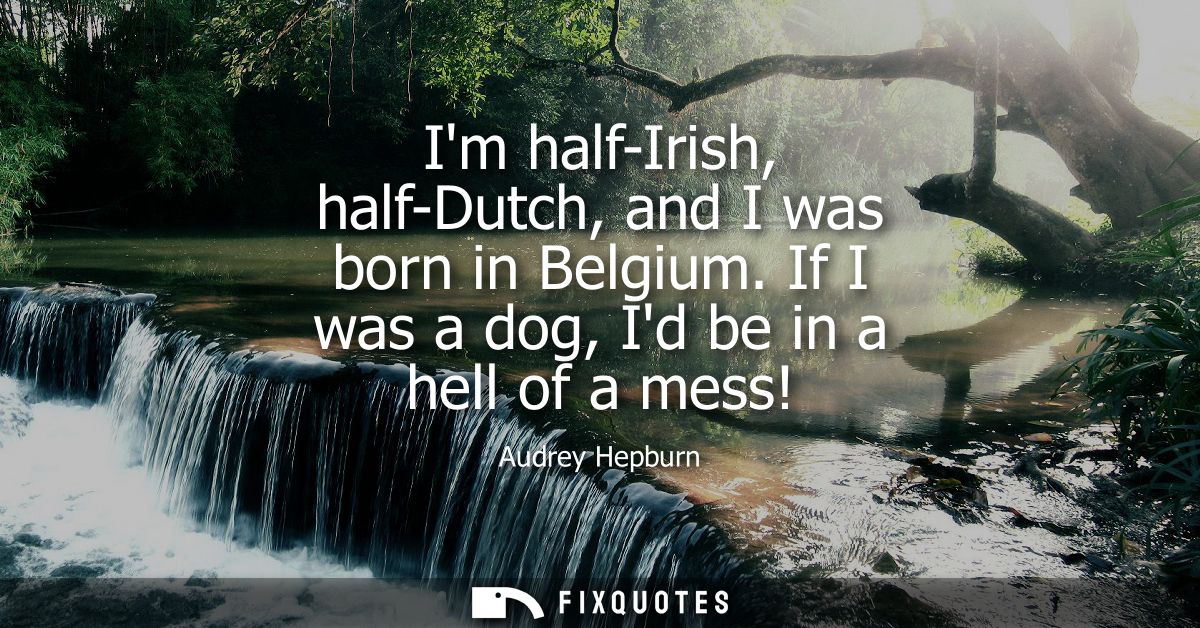 Im half-Irish, half-Dutch, and I was born in Belgium. If I was a dog, Id be in a hell of a mess!