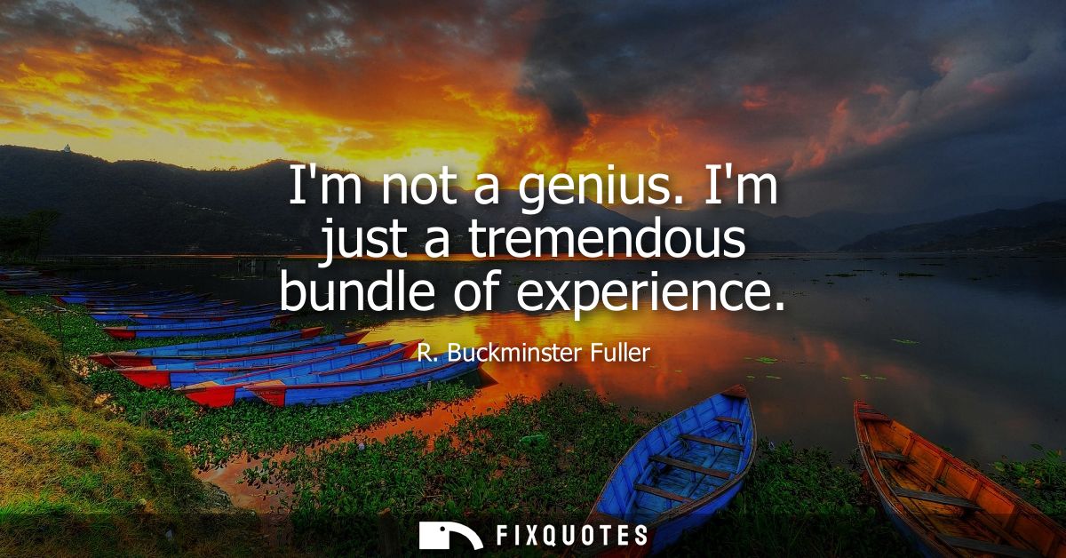 Im not a genius. Im just a tremendous bundle of experience - R. Buckminster Fuller