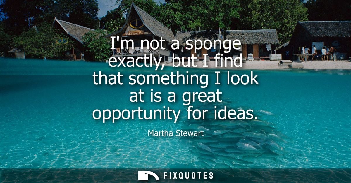 Im not a sponge exactly, but I find that something I look at is a great opportunity for ideas