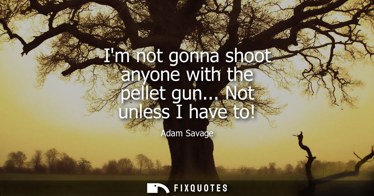Im not gonna shoot anyone with the pellet gun... Not unless I have to!