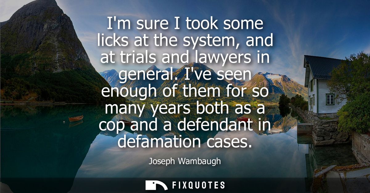 Im sure I took some licks at the system, and at trials and lawyers in general. Ive seen enough of them for so many years