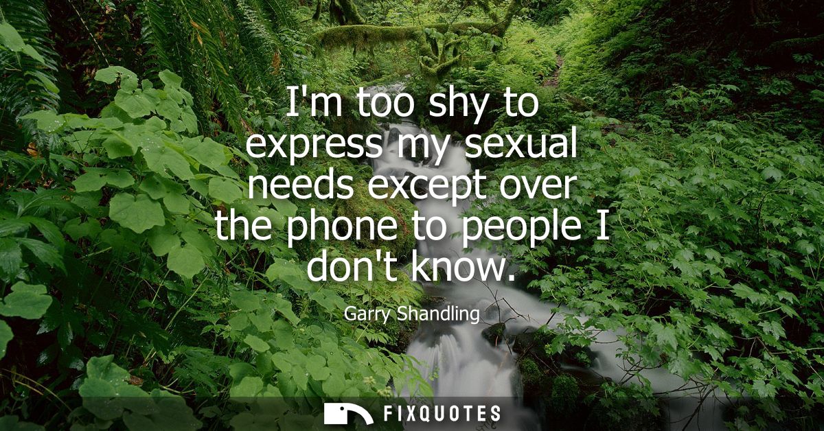 Im too shy to express my sexual needs except over the phone to people I dont know