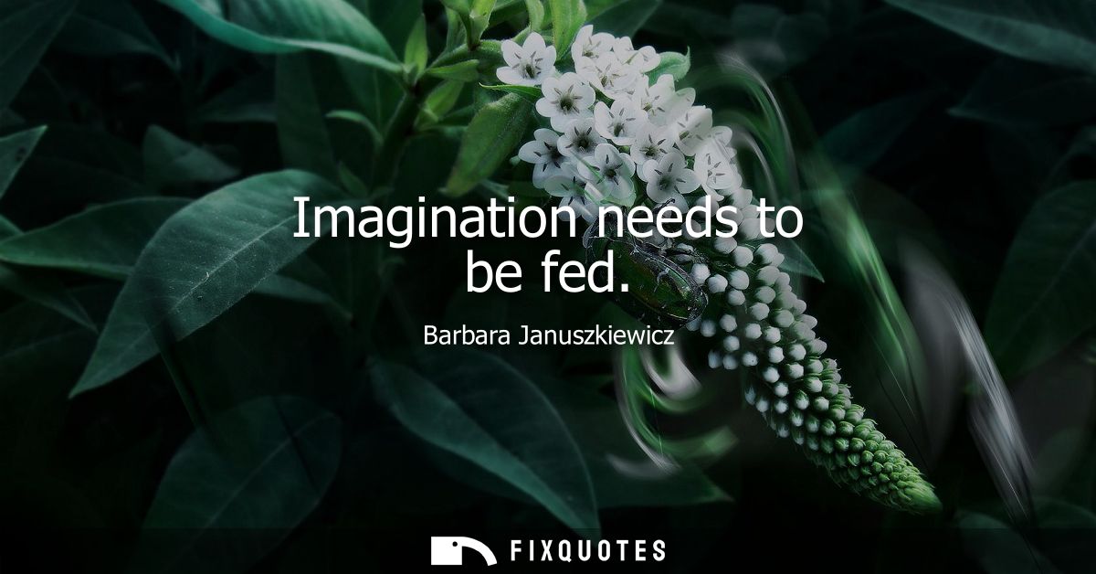 Imagination needs to be fed