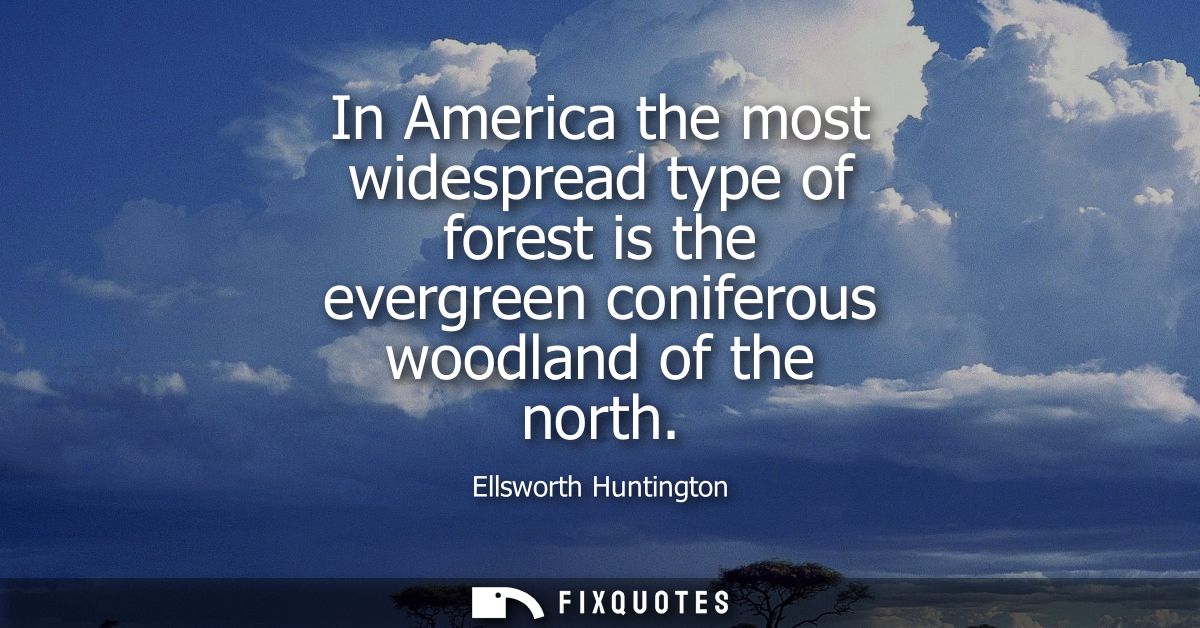 In America the most widespread type of forest is the evergreen coniferous woodland of the north