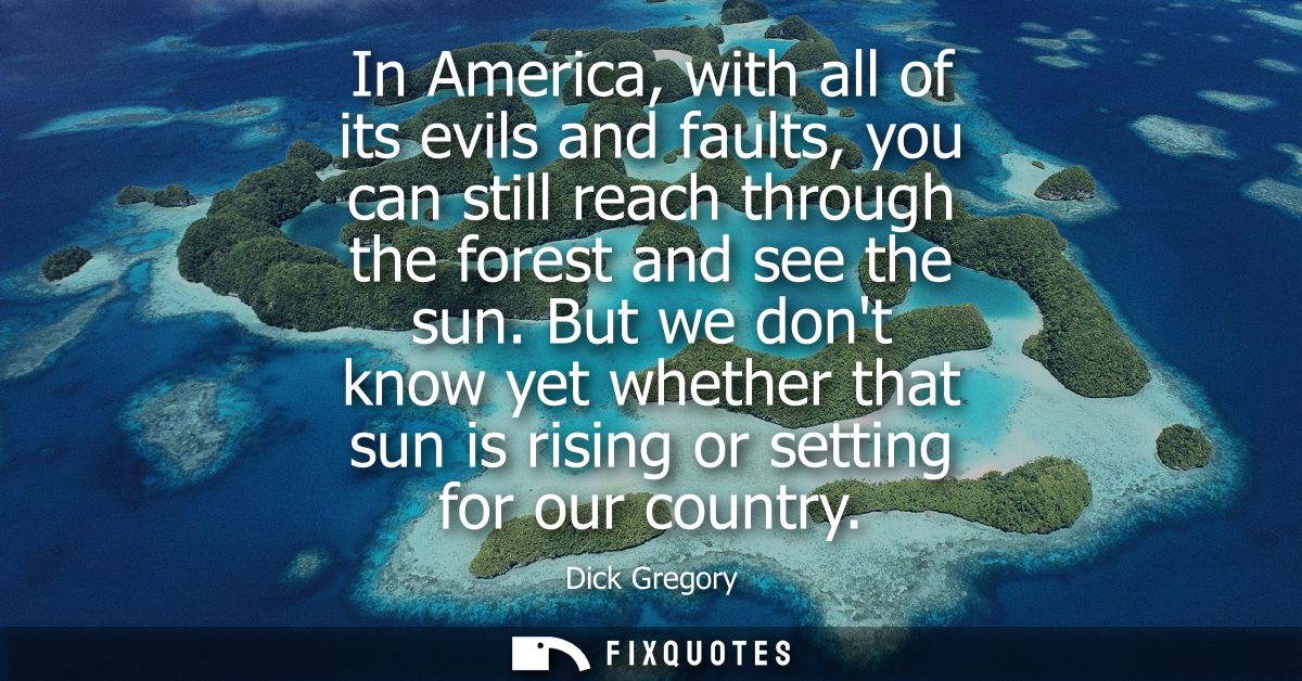 In America, with all of its evils and faults, you can still reach through the forest and see the sun.