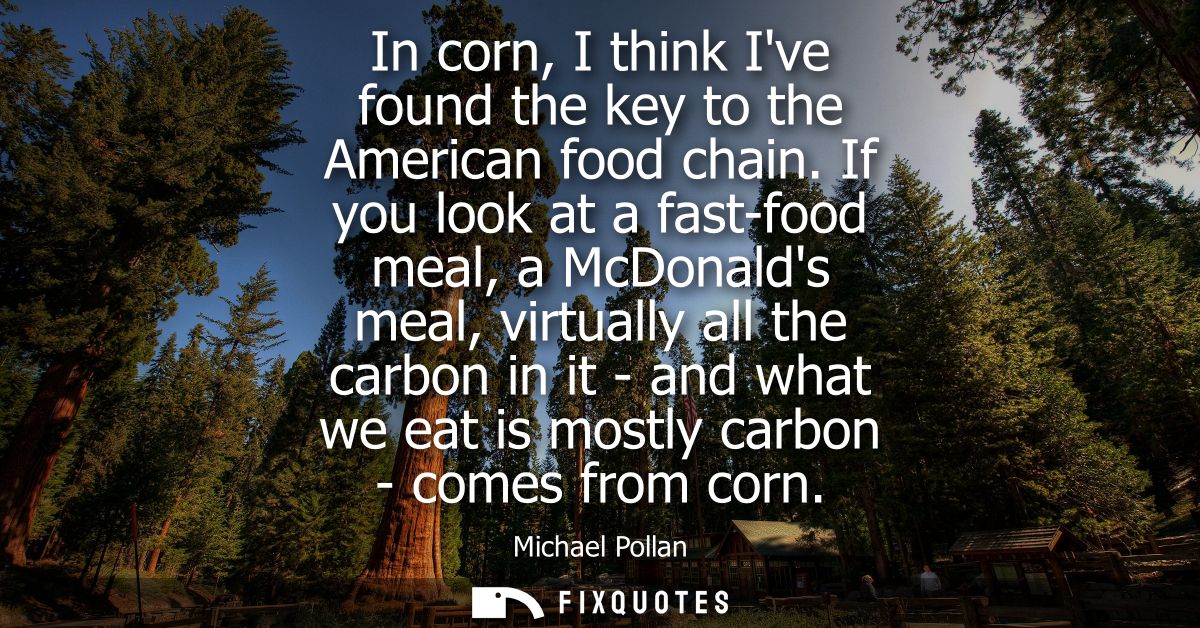 In corn, I think Ive found the key to the American food chain. If you look at a fast-food meal, a McDonalds meal, virtua