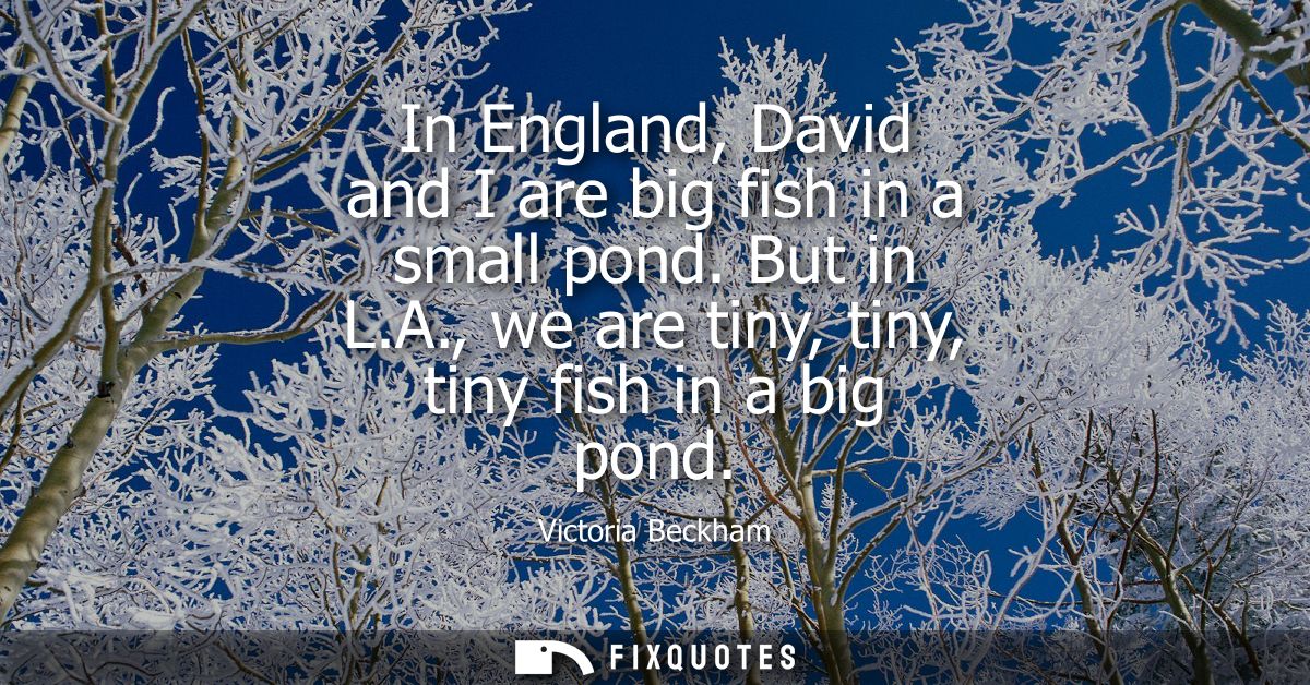 In England, David and I are big fish in a small pond. But in L.A., we are tiny, tiny, tiny fish in a big pond