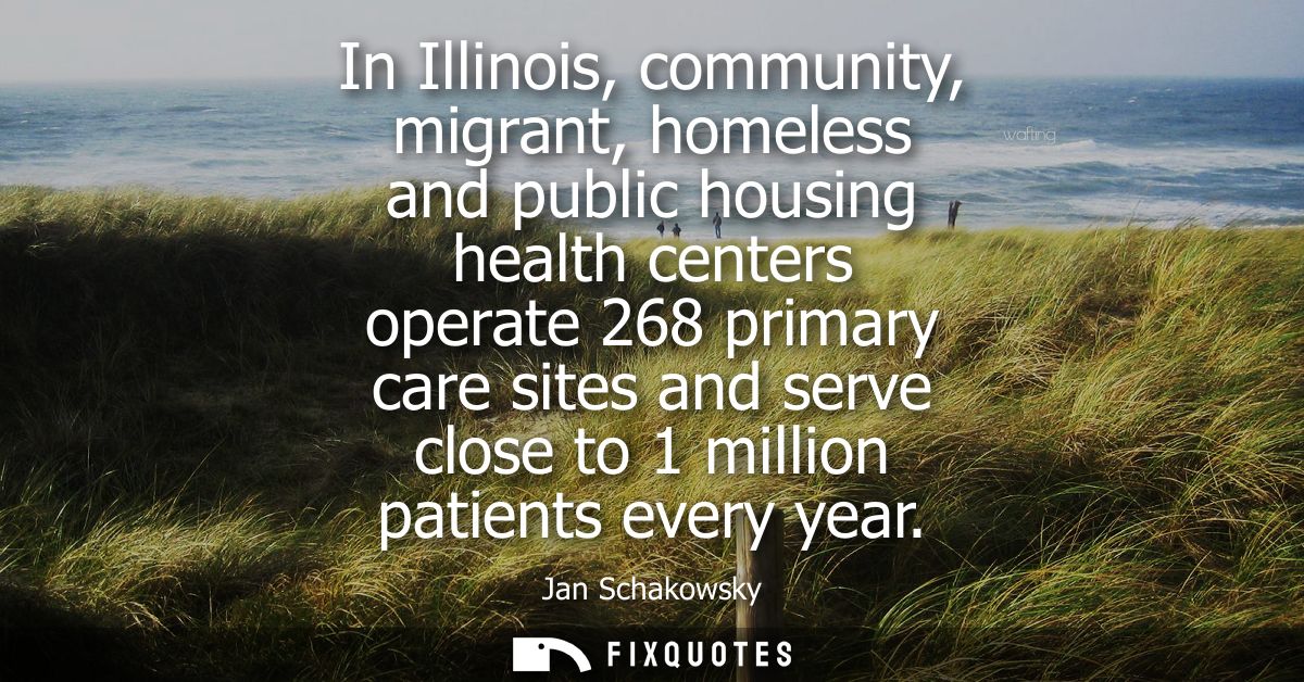 In Illinois, community, migrant, homeless and public housing health centers operate 268 primary care sites and serve clo