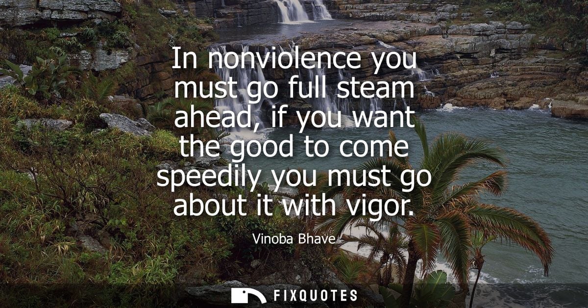 In nonviolence you must go full steam ahead, if you want the good to come speedily you must go about it with vigor