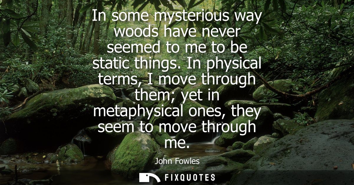In some mysterious way woods have never seemed to me to be static things. In physical terms, I move through them yet in 