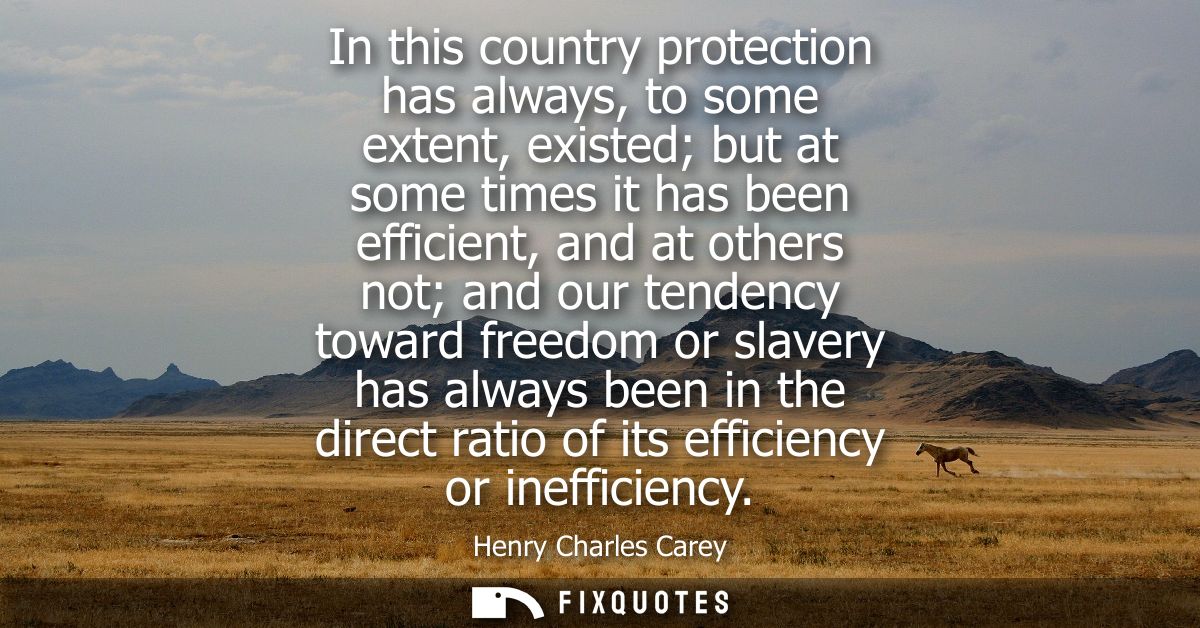 In this country protection has always, to some extent, existed but at some times it has been efficient, and at others no