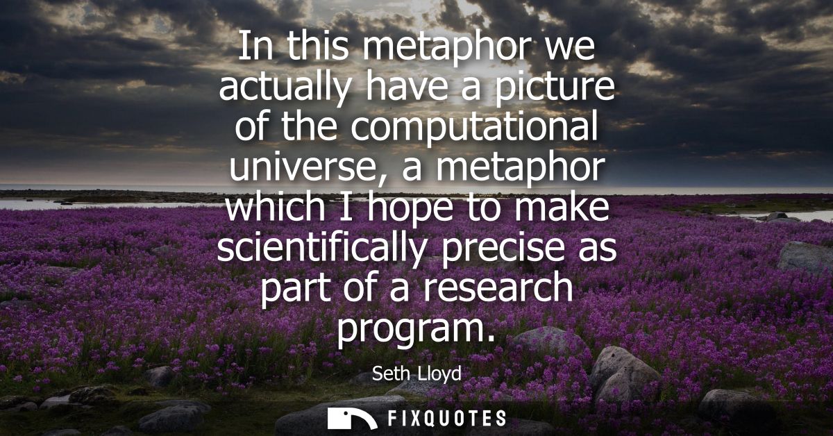In this metaphor we actually have a picture of the computational universe, a metaphor which I hope to make scientificall