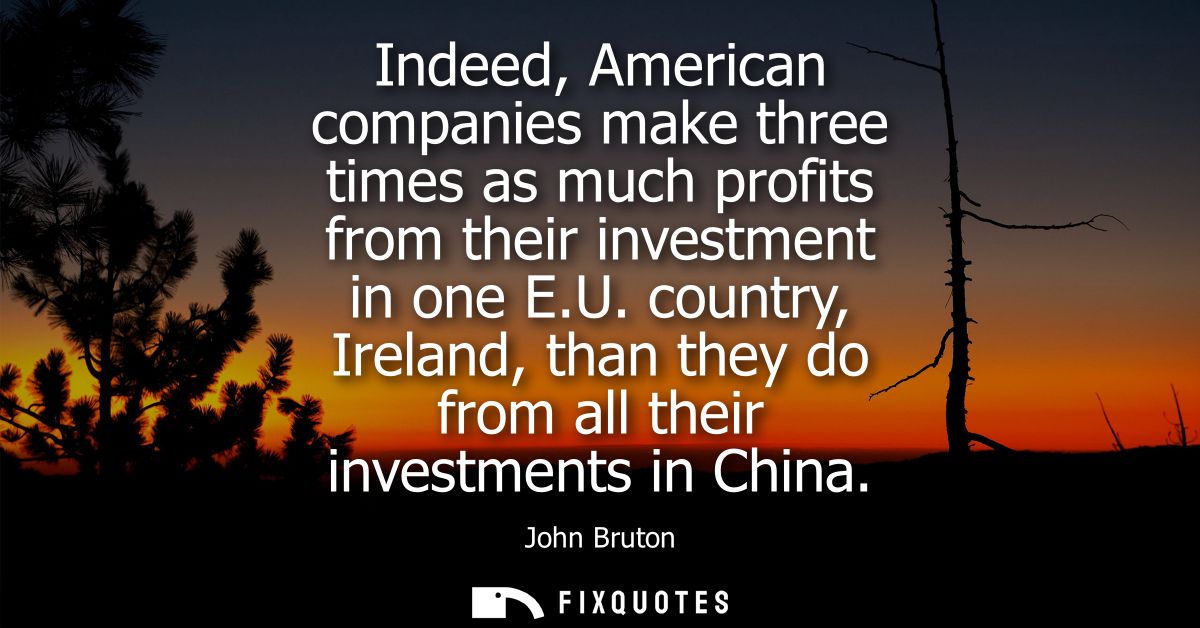 Indeed, American companies make three times as much profits from their investment in one E.U. country, Ireland, than the
