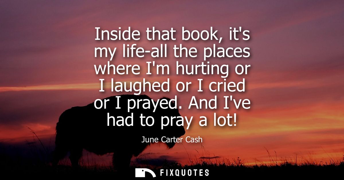 Inside that book, its my life-all the places where Im hurting or I laughed or I cried or I prayed. And Ive had to pray a