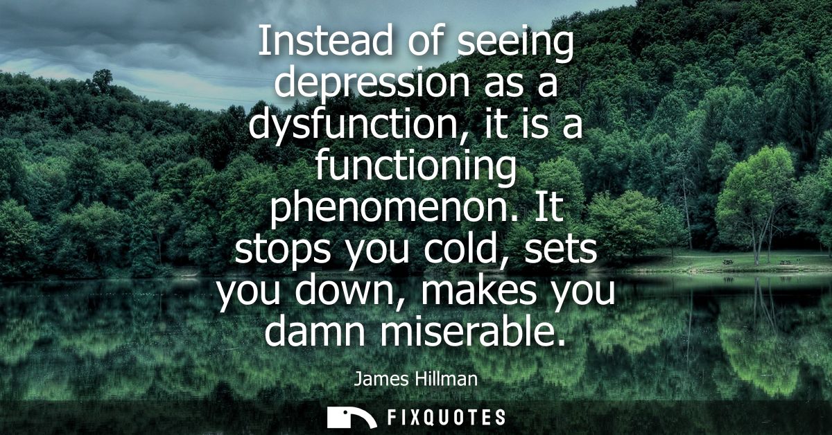 Instead of seeing depression as a dysfunction, it is a functioning phenomenon. It stops you cold, sets you down, makes y