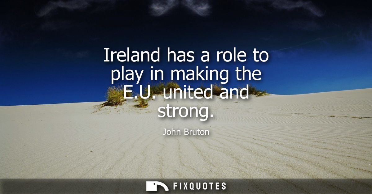 Ireland has a role to play in making the E.U. united and strong