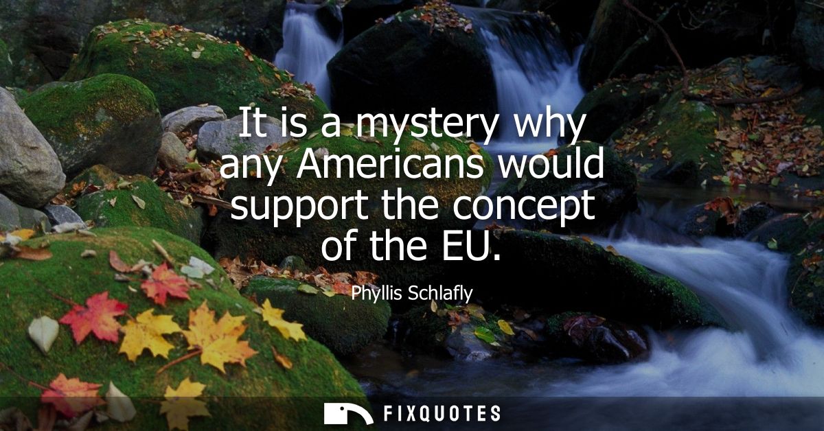 It is a mystery why any Americans would support the concept of the EU - Phyllis Schlafly