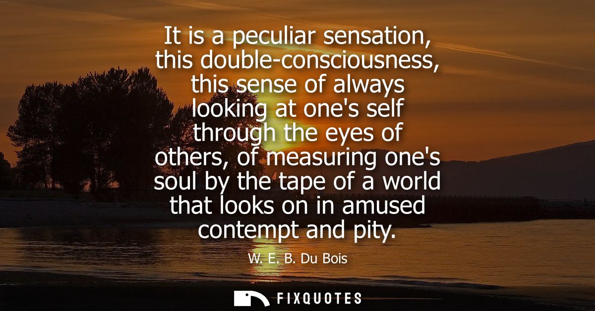 It is a peculiar sensation, this double-consciousness, this sense of always looking at ones self through the eyes of oth