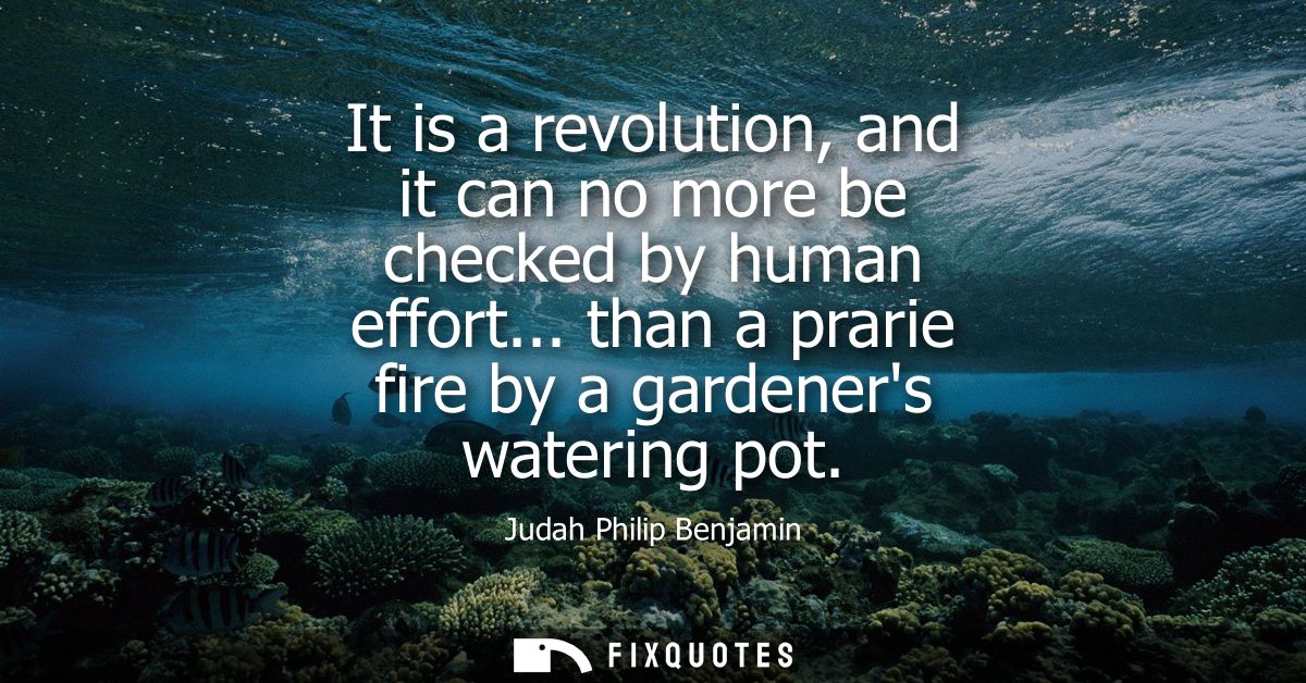 It is a revolution, and it can no more be checked by human effort... than a prarie fire by a gardeners watering pot