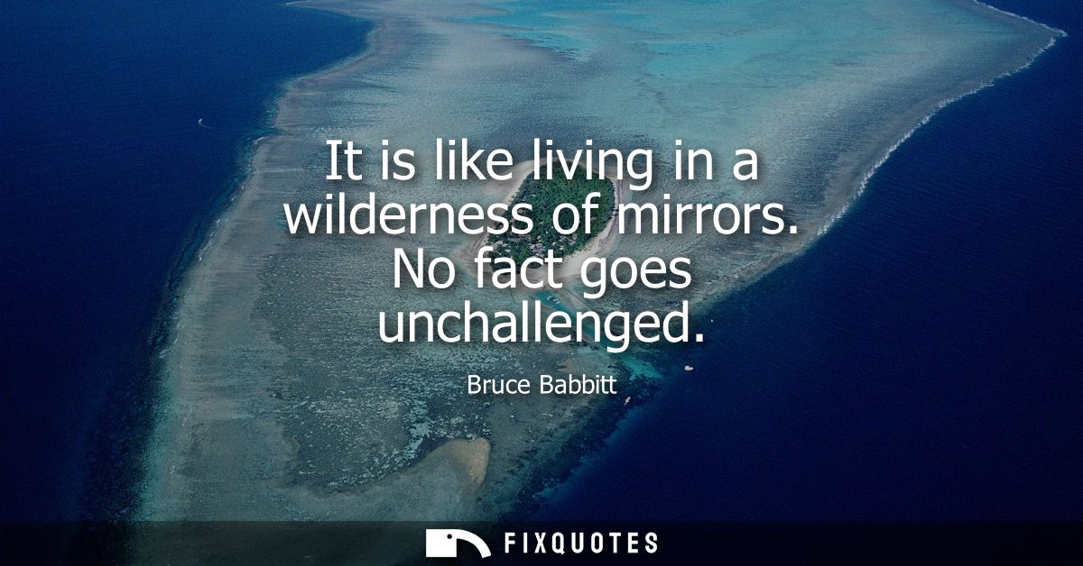 It is like living in a wilderness of mirrors. No fact goes unchallenged
