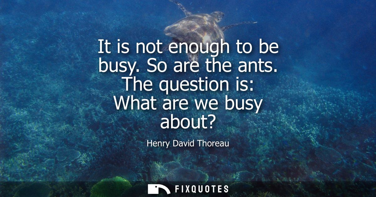 It is not enough to be busy. So are the ants. The question is: What are we busy about?