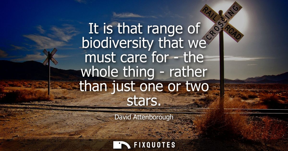 It is that range of biodiversity that we must care for - the whole thing - rather than just one or two stars