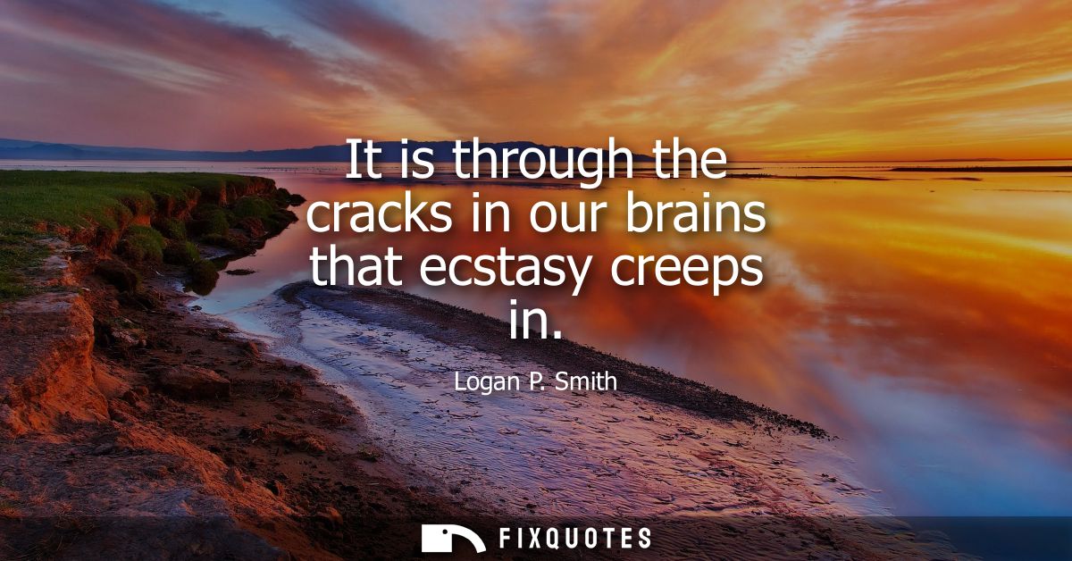 It is through the cracks in our brains that ecstasy creeps in