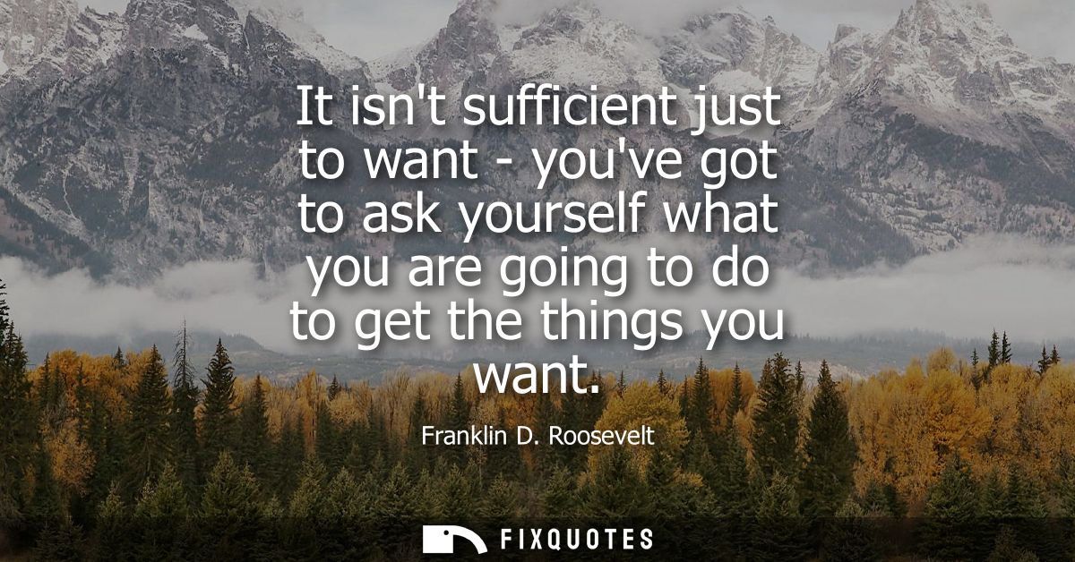 It isnt sufficient just to want - youve got to ask yourself what you are going to do to get the things you want