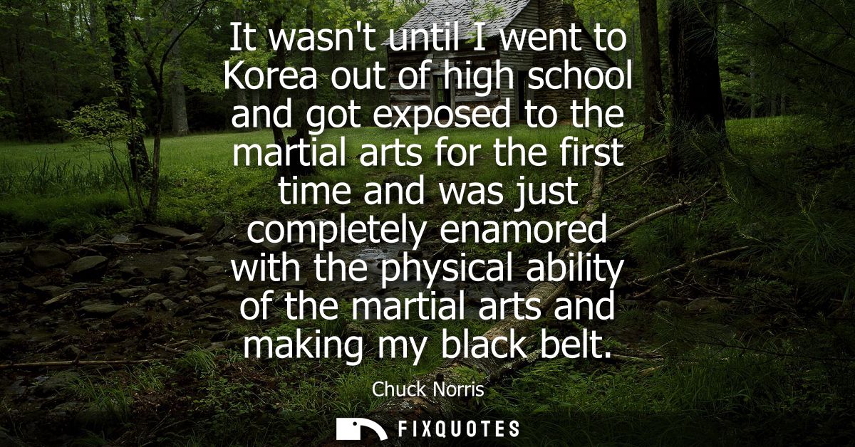 It wasnt until I went to Korea out of high school and got exposed to the martial arts for the first time and was just co