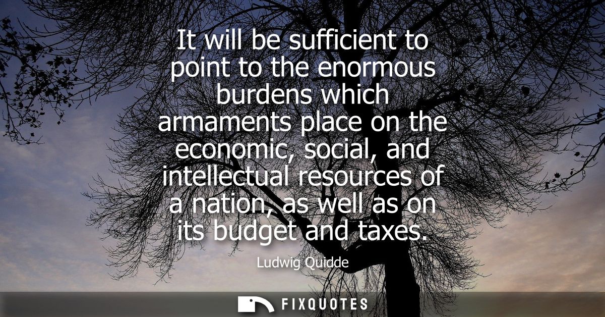 It will be sufficient to point to the enormous burdens which armaments place on the economic, social, and intellectual r