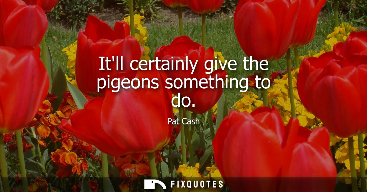 Itll certainly give the pigeons something to do - Pat Cash