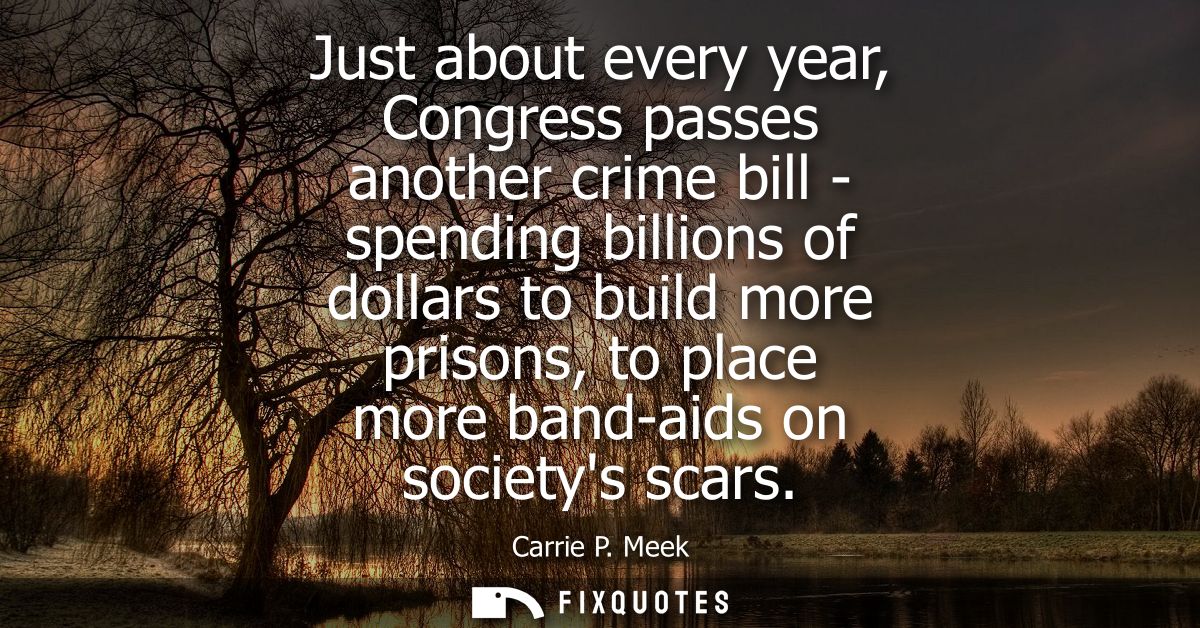 Just about every year, Congress passes another crime bill - spending billions of dollars to build more prisons, to place