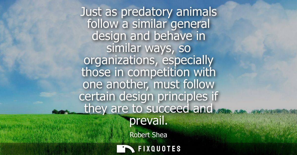 Just as predatory animals follow a similar general design and behave in similar ways, so organizations, especially those