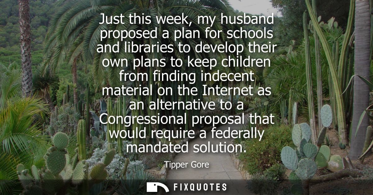 Just this week, my husband proposed a plan for schools and libraries to develop their own plans to keep children from fi